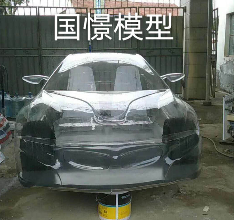 兴山县透明车模型